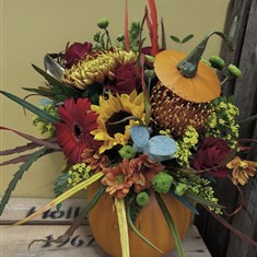 Pumpkin arrangement 